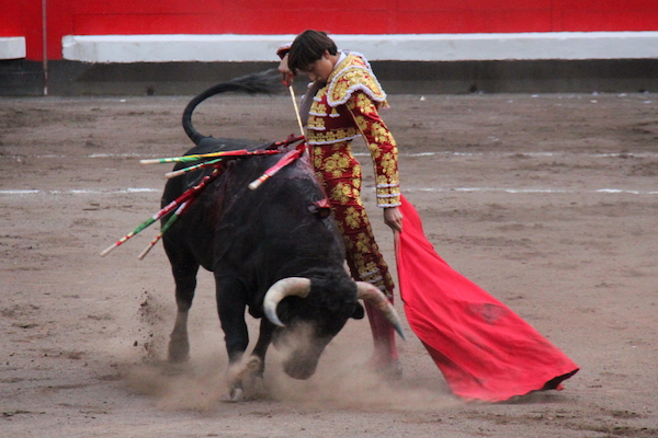 Andrés Roca Rey à Bilbao face à un novillo de El Paralejo