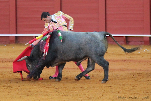 13_04-uren%cc%83a-3eme-toro-copie