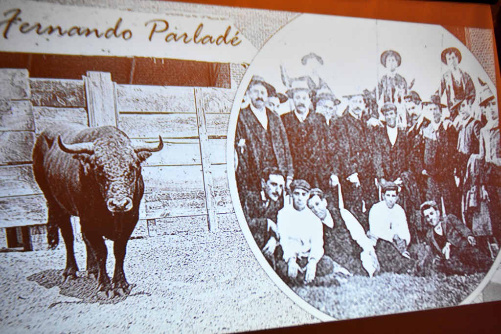 Cette image a un attribut alt vide ; le nom du fichier est parlade-1.jpg